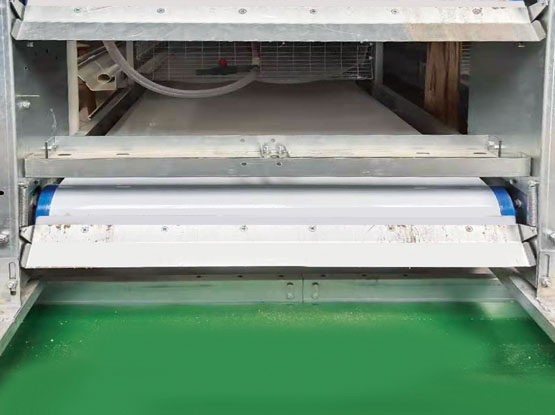 Automatic manure removal system