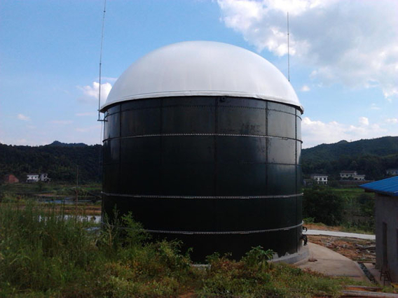 Animal Manure Biogas Plant 