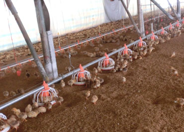 20150911155529_15215