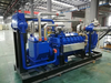 Biogas/ Gas/Diesel Generator