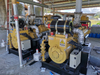 Biogas/ Gas/Diesel Generator