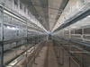 Broiler Cage System
