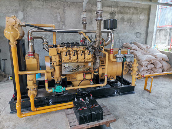 Biogas/ Gas/Diesel Generator